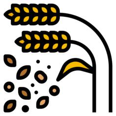 Grains