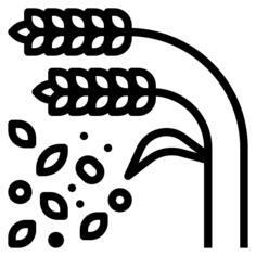 Grains