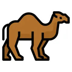 Camel