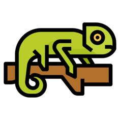 变色龙