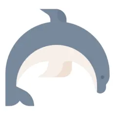 Dolphin