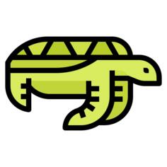 龟