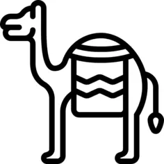 Camel