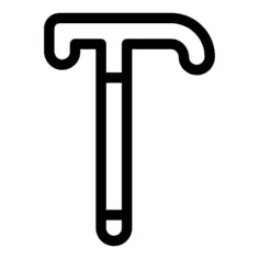 Walking stick