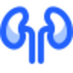 Kidney