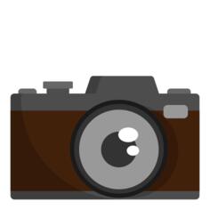 Mirrorless