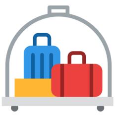 Travel luggage