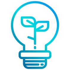 Bulb