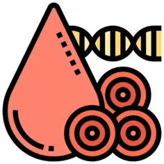 Blood
