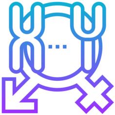 染色体