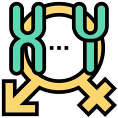 染色体