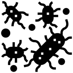 Bacteria
