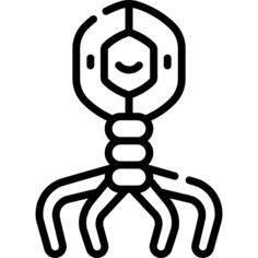 菌