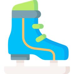 Ice skate