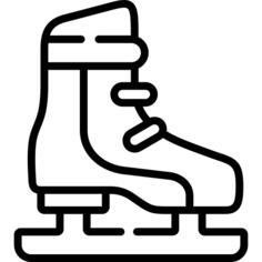 Ice skate