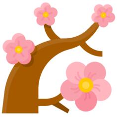 Blossom