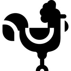 公鸡