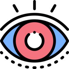 眼睛