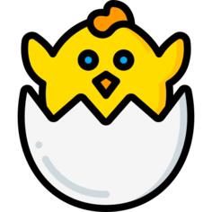 小鸡