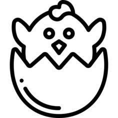 小鸡