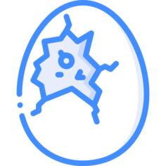 Chick
