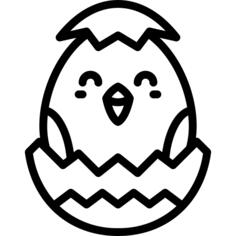 小鸡