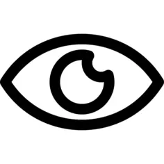 Vision
