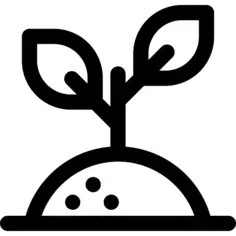 发芽
