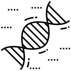 Dna structure