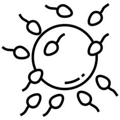 Sperms