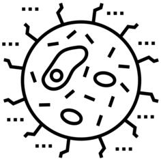 Ovum