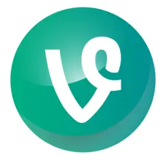 Vine