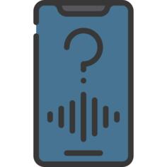 Voice assistant