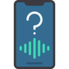 Voice assistant