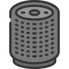 Voice assistant