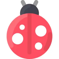 Ladybug