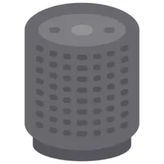 Voice assistant