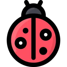 Ladybug