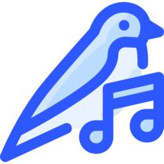鸟