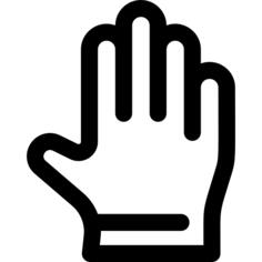 Glove