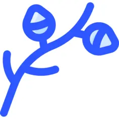 科