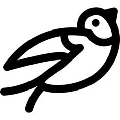 Swallow