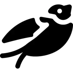 Swallow