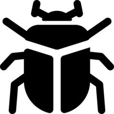 甲虫