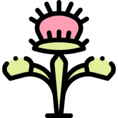 Carnivorous plant