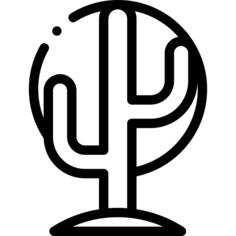 仙人掌