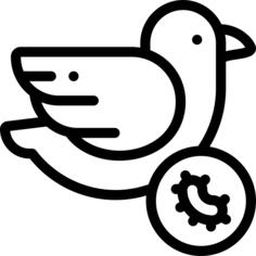 鸟
