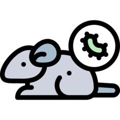 鼠