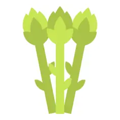 Asparagus