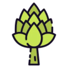 Artichoke